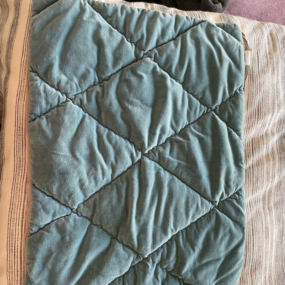 Pottery Barn Teal Quilted Pillow Sham (Standard)